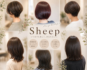 美容室Sheep【シープ】(ビヨウシツ　シープ)