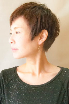 ☆大人ブリティッシュショートvs