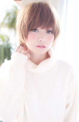 2015冬　ワンカールでシフォンショート【H-186】