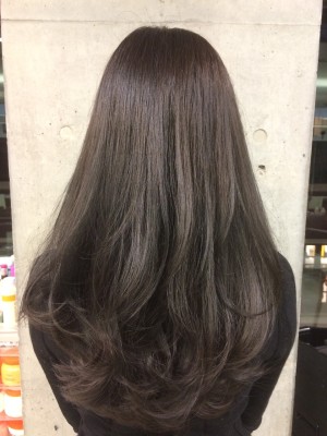 ABBEY2 瀧井康永シースルーダークベージュ