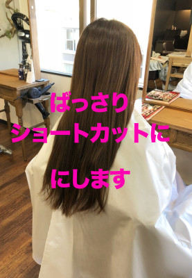 大人気のこばしりさんを見てご来店されたお客様【N-42】 大人気のこばしりさんを見てご来店されたお客様【N-42】のイメージ画像