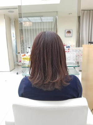 段入りミディアム