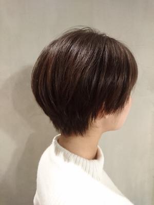 【avli】マニッシュショート
