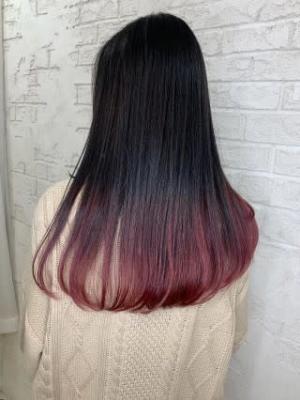 グラデーションカラーカシスベリーピンクラベンダー2071