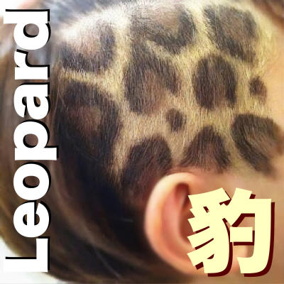 【ヒョウ柄】絵筆で描くグラフィティカラー【Leopard】