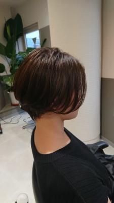 ハンサムショート×シークレットハイライト