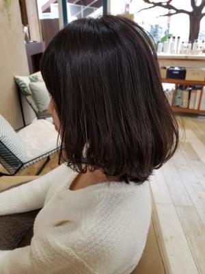 ボブ×バイオレットアッシュ