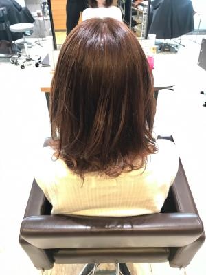 西宮スタイルコレクション 西宮スタイルコレクションのイメージ画像