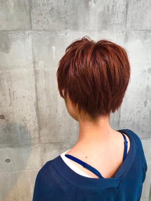 西宮スタイルコレクション