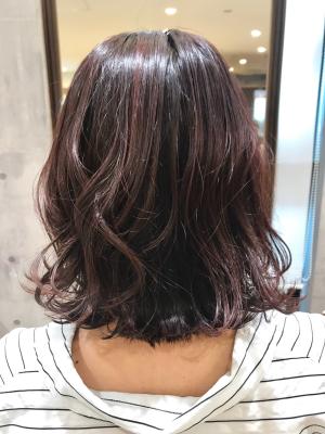 西宮店スタイルコレクション