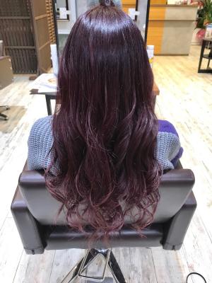 西宮スタイルコレクション