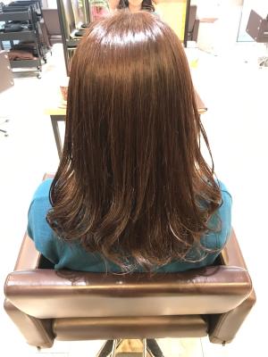 西宮スタイルコレクション