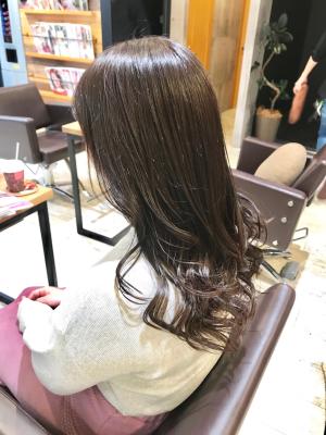 西宮スタイルコレクション