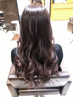 西宮スタイルコレクション 西宮スタイルコレクションのイメージ画像