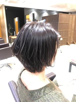西宮スタイルコレクション