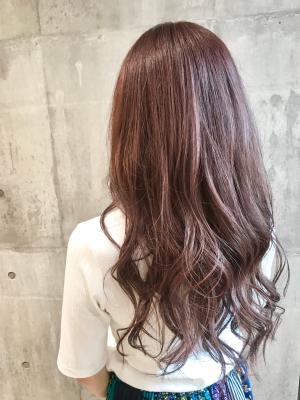 西宮スタイルコレクション 西宮スタイルコレクションのイメージ画像