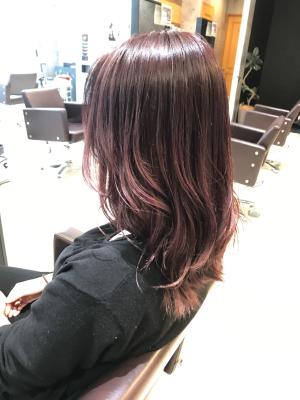 西宮スタイルコレクション