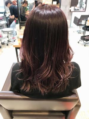 西宮スタイルコレクション