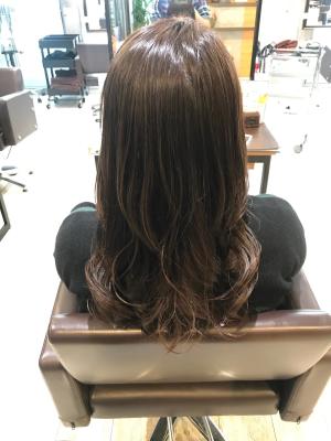 西宮スタイルコレクション