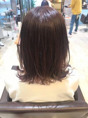 西宮スタイルコレクション