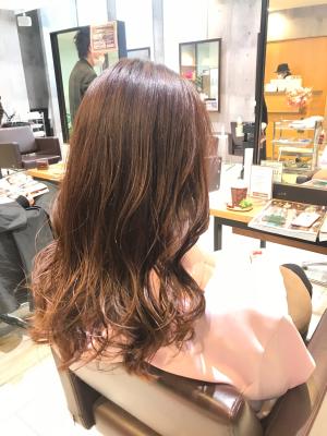 西宮スタイルコレクション