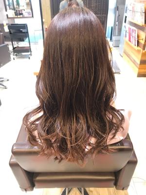 西宮スタイルコレクション