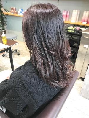 西宮スタイルコレクション