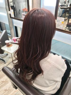 西宮スタイルコレクション