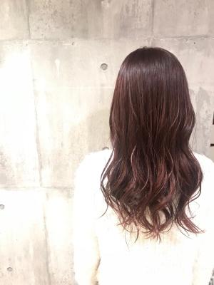 西宮スタイルコレクション