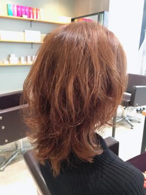西宮スタイルコレクション
