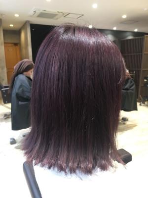 西宮店スタイルコレクション
