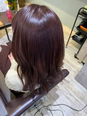 西宮店スタイルコレクション