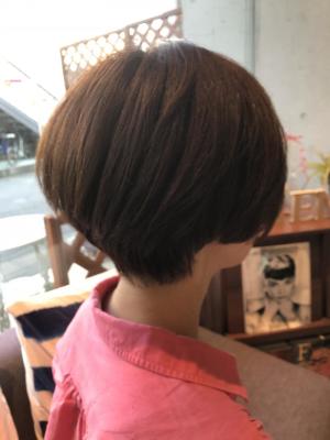 大人ショート
