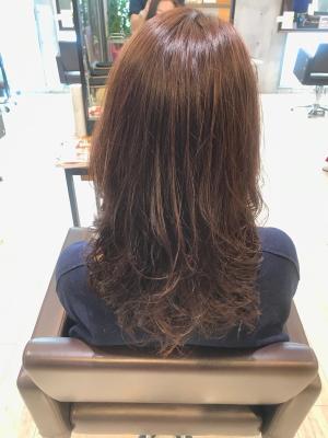 西宮スタイルコレクション