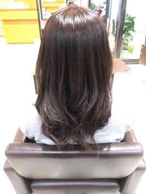 西宮スタイルコレクション