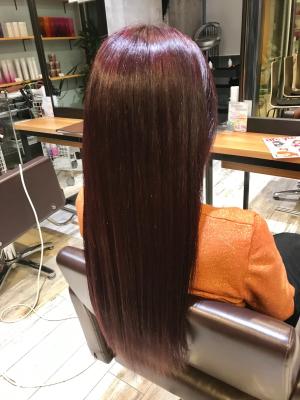 西宮スタイルコレクション