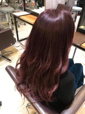 西宮スタイルコレクション