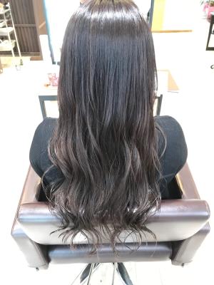 西宮スタイルコレクション