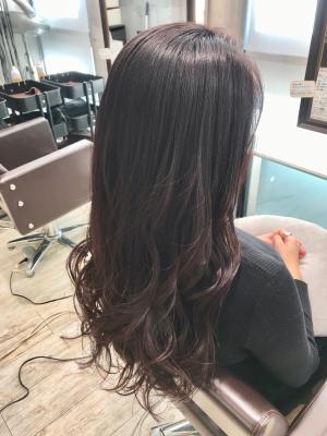 西宮スタイルコレクション