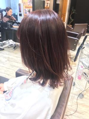 西宮スタイルコレクション