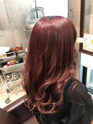 西宮スタイルコレクション 西宮スタイルコレクションのイメージ画像