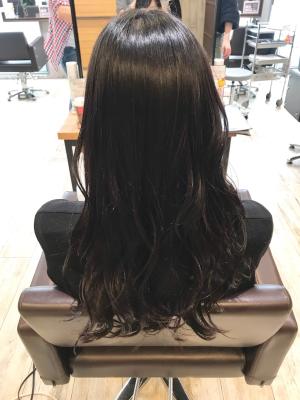 西宮スタイルコレクション
