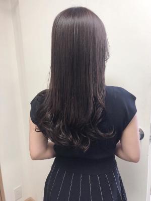 バイオレットブラウン