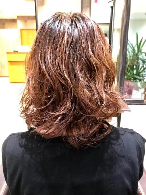 西宮スタイルコレクション