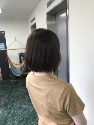 ボブスタイル