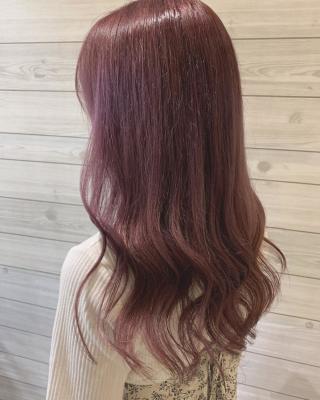ピンクラベンダー