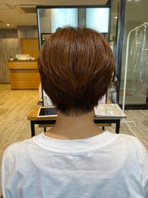 西宮店スタイルコレクション