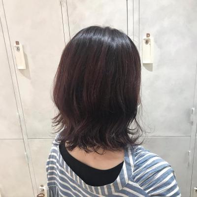メディアレイヤー
