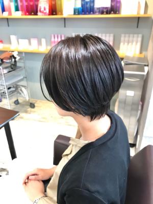 西宮店スタイルコレクション 西宮店スタイルコレクションのイメージ画像