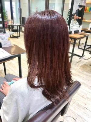 西宮店スタイルコレクション